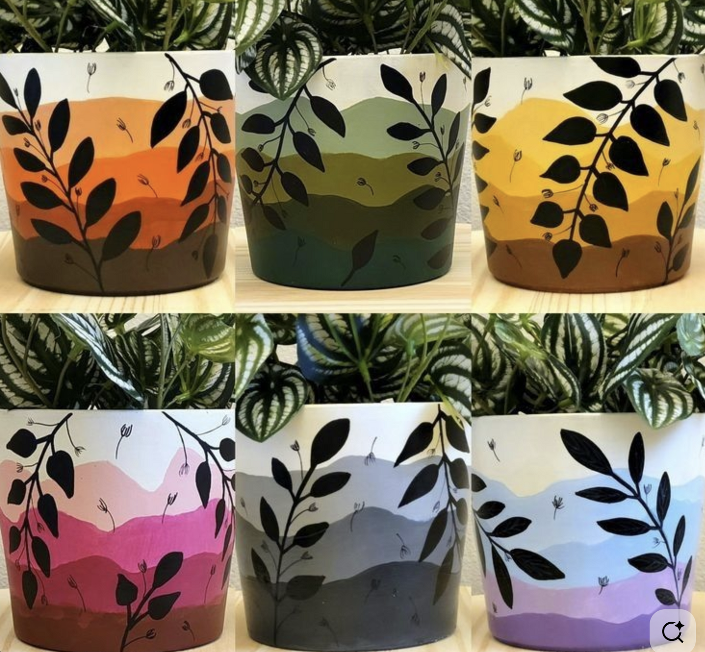Paint, Pot, Petals - The Paddock Lal Lal