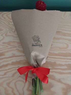 Dahlia Subscription - The Paddock Lal Lal