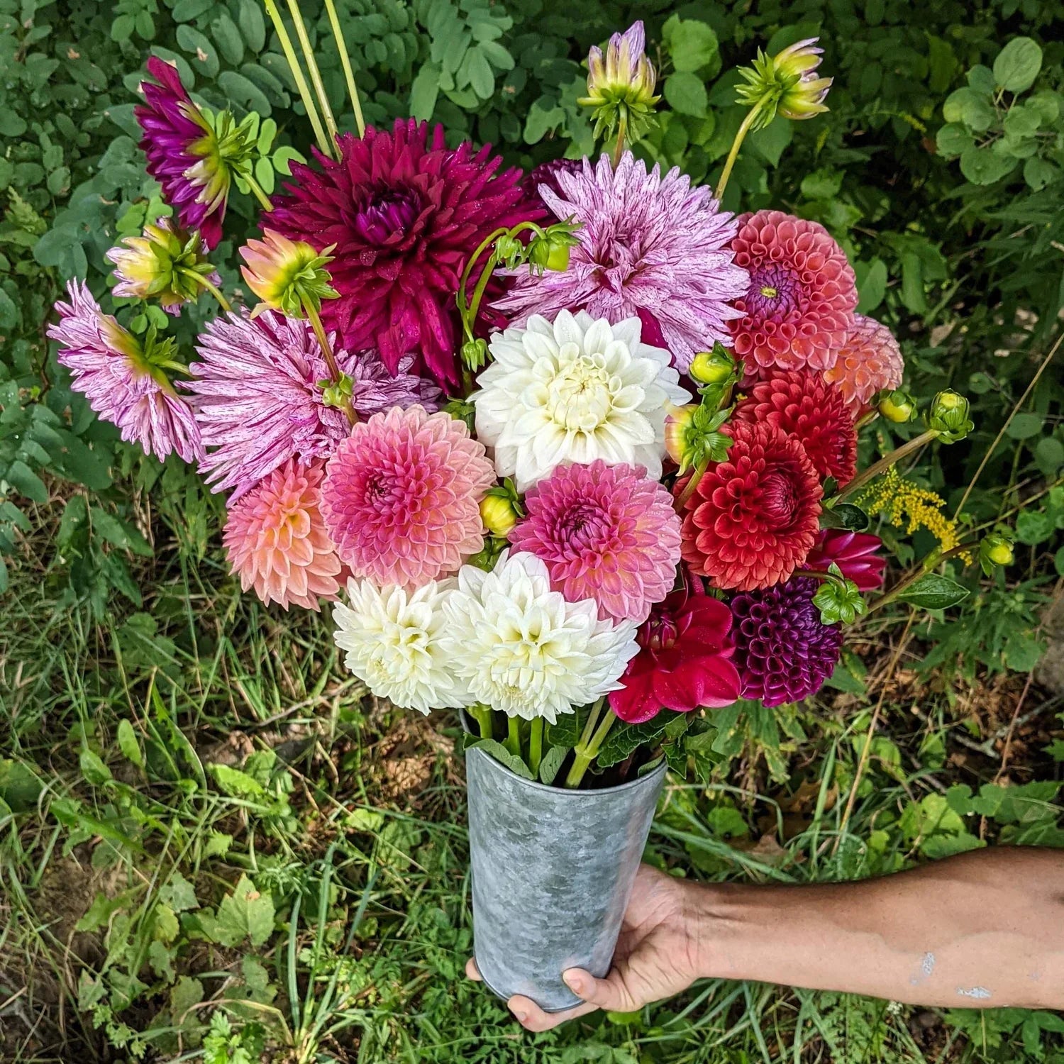 Pick you own Flowers