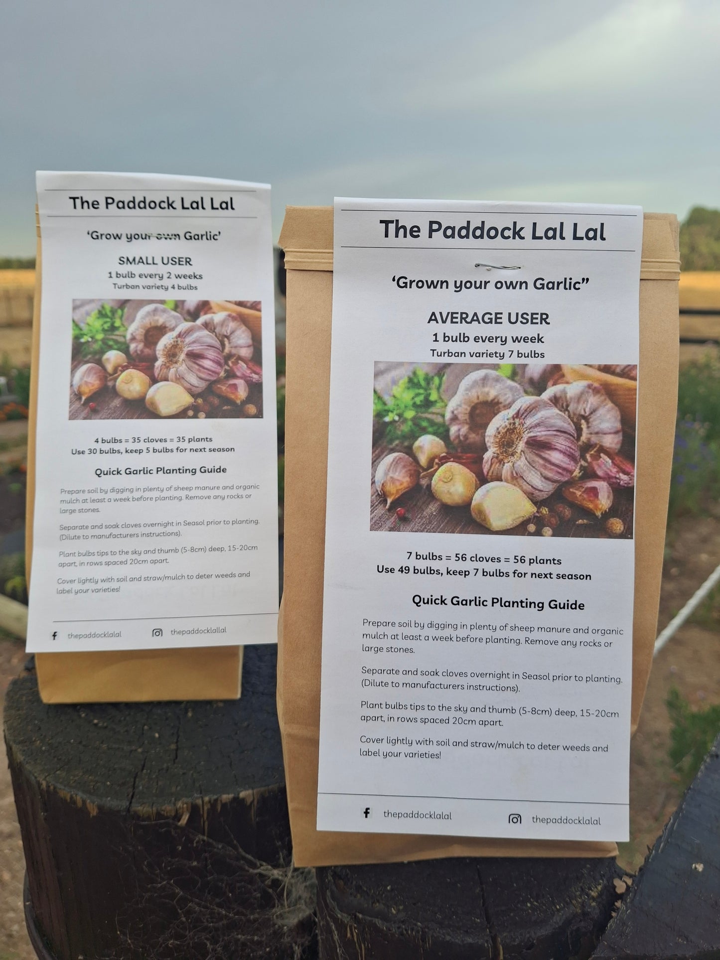 Grow your own garlic (early variety)