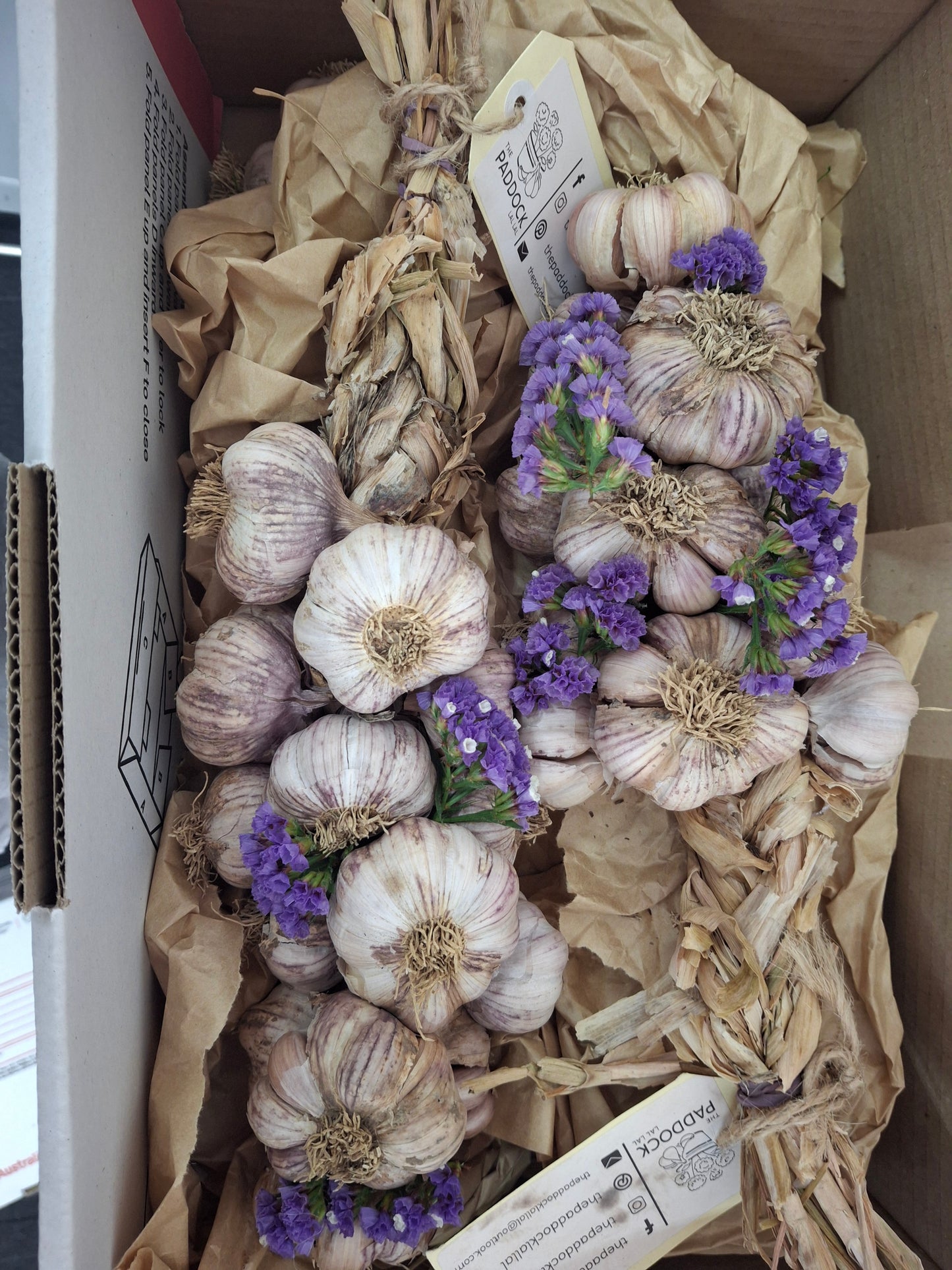 Garlic Braids