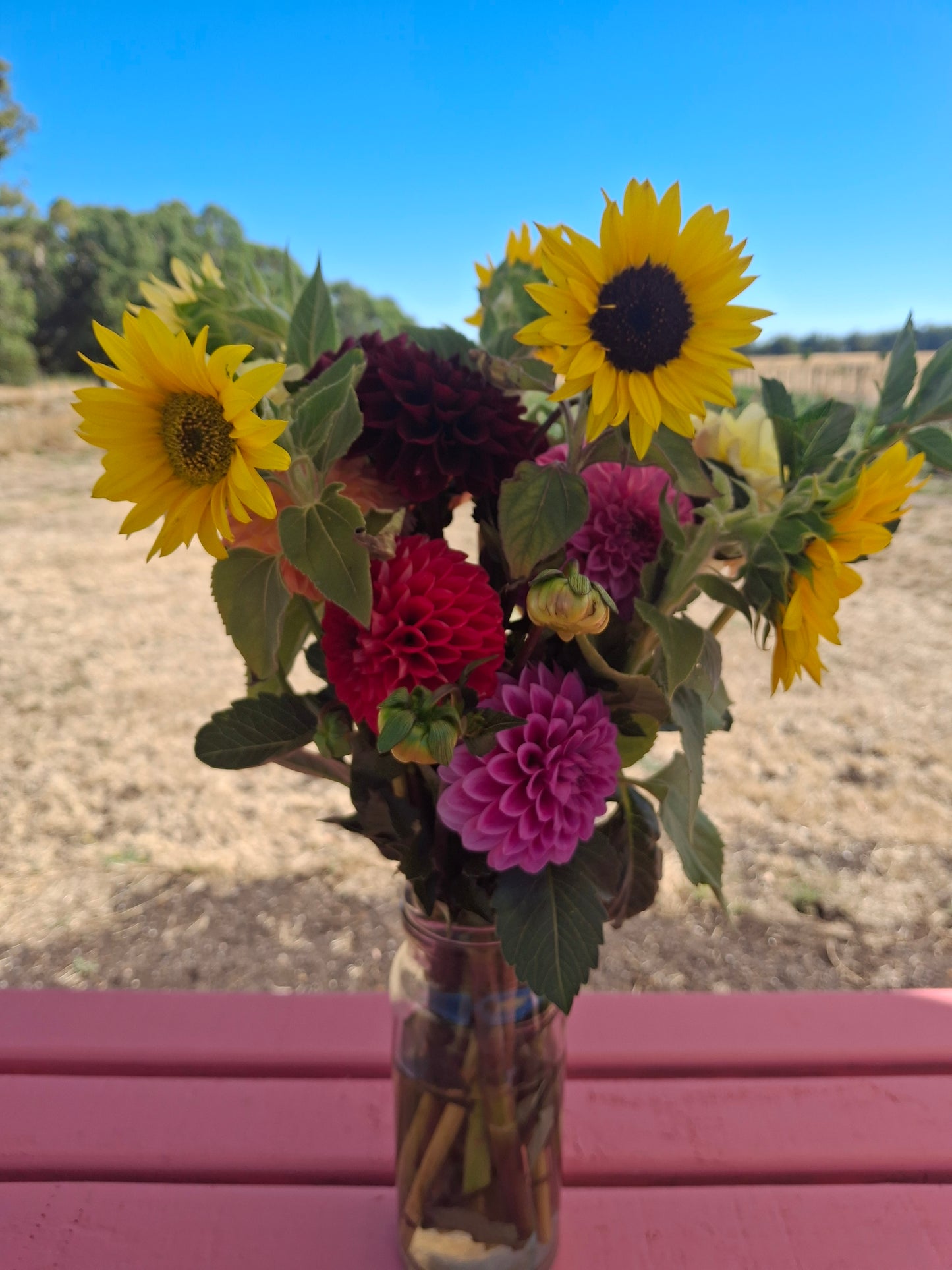 Friday Flower Therapy