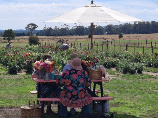 Afternoon tea in the Flower patch