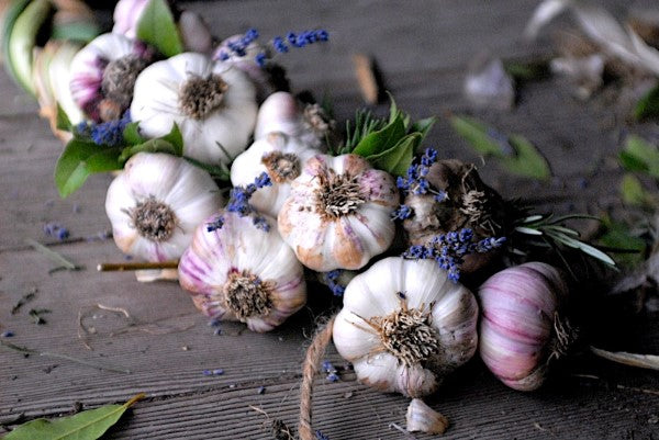 Garlic Braids