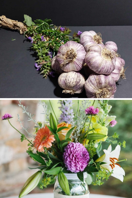 Garlic Braiding Workshop & Flower Bar Experience