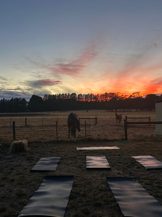 Sunrise Yoga in the Flower Patch
