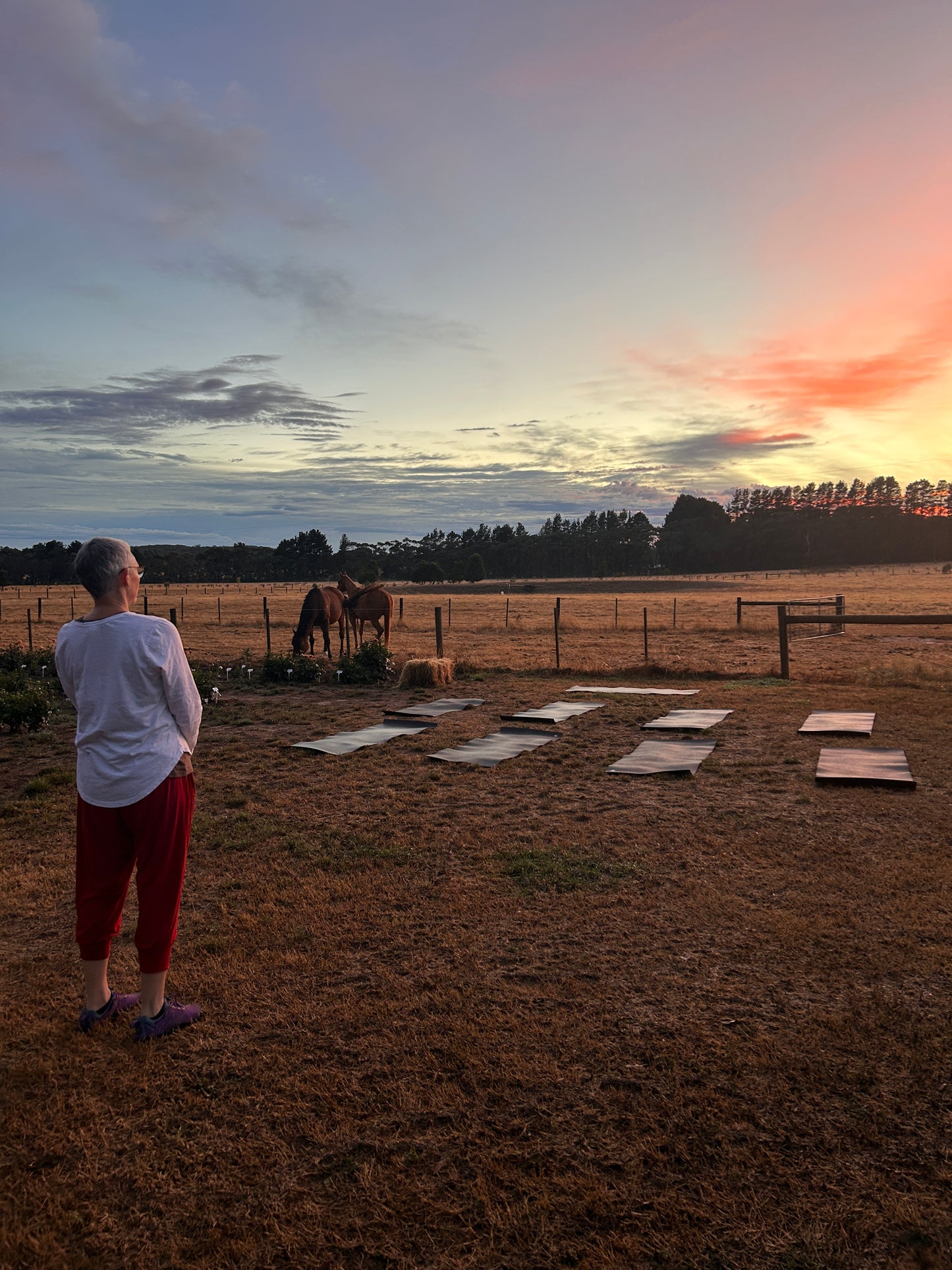 Sunrise Yoga in the Flower Patch
