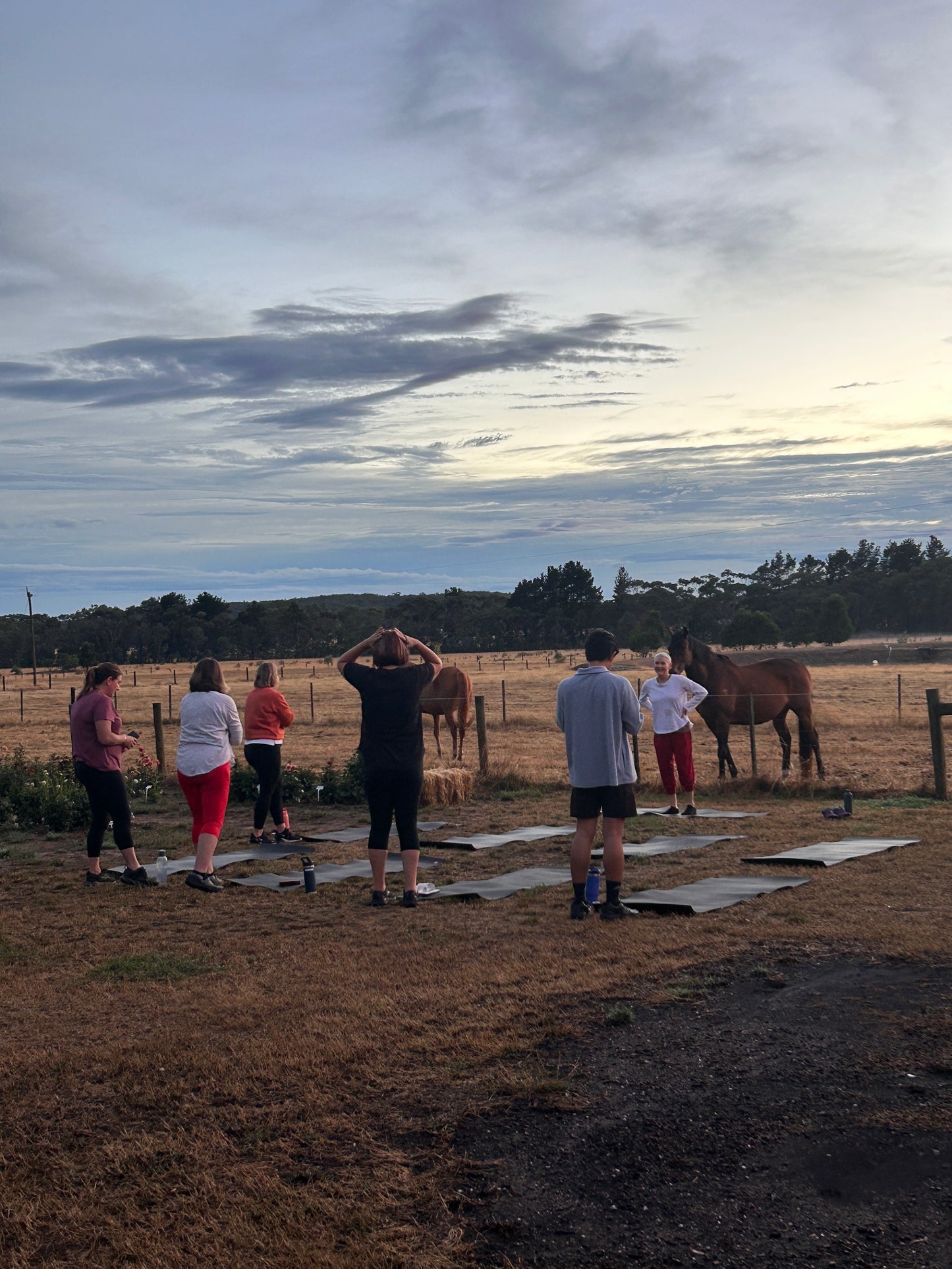 Sunrise Yoga in the Flower Patch