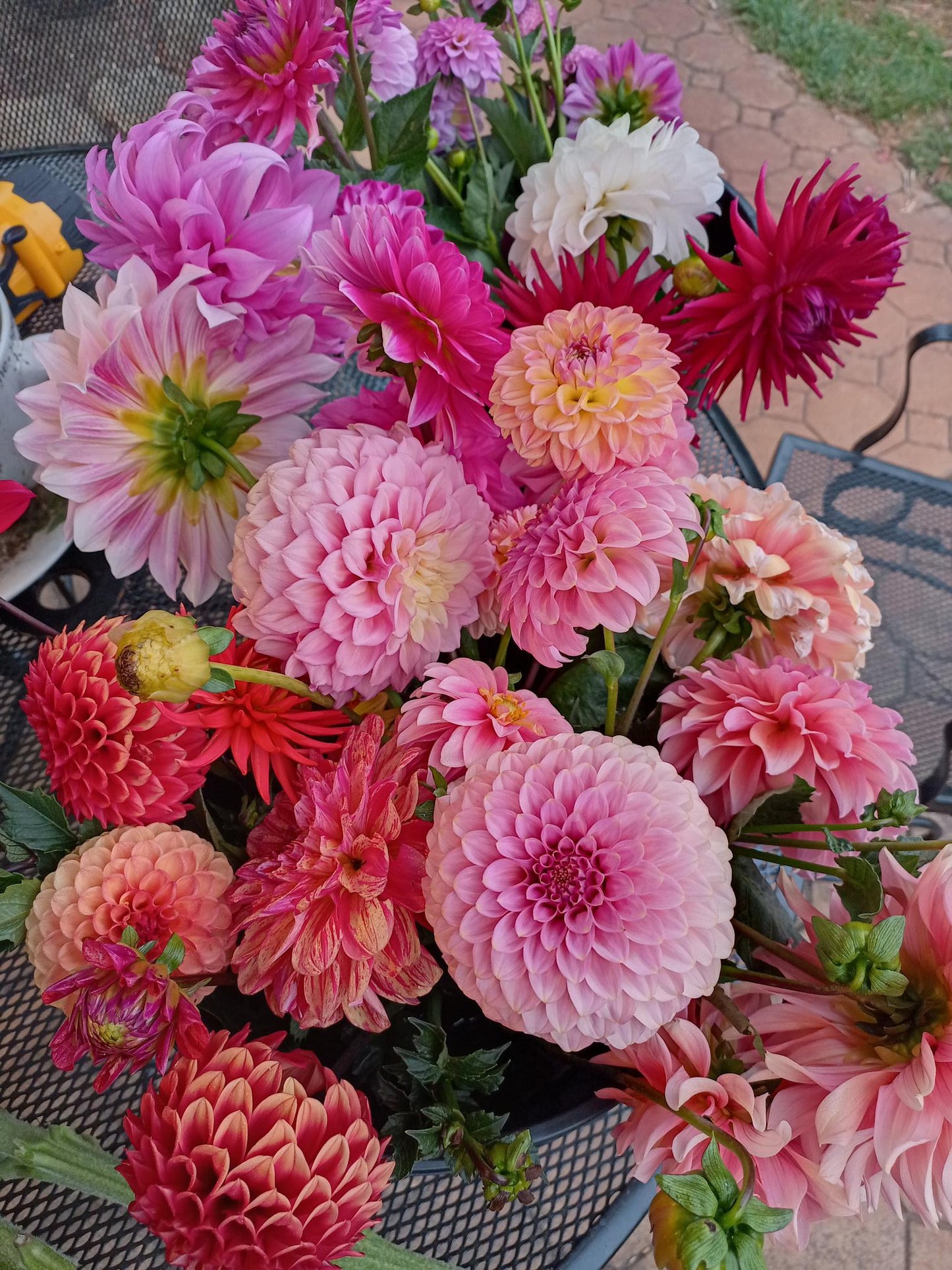 Dahlia Bunches