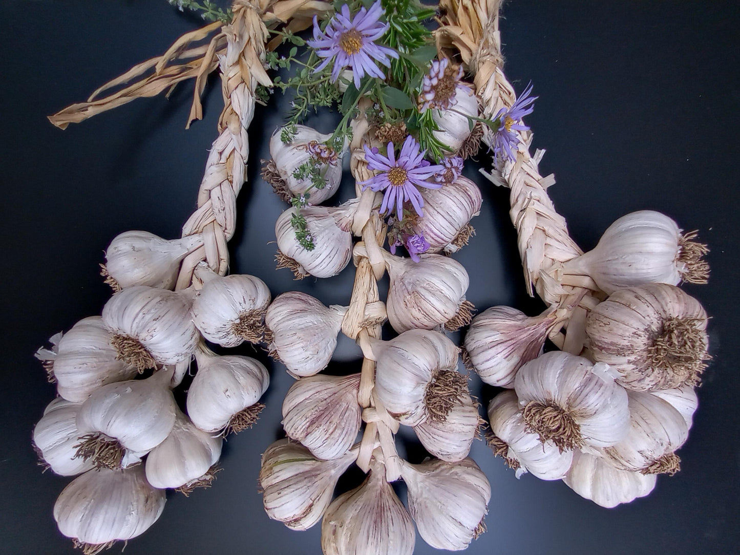 Garlic Braids (PRE-ORDER) - The Paddock Lal Lal