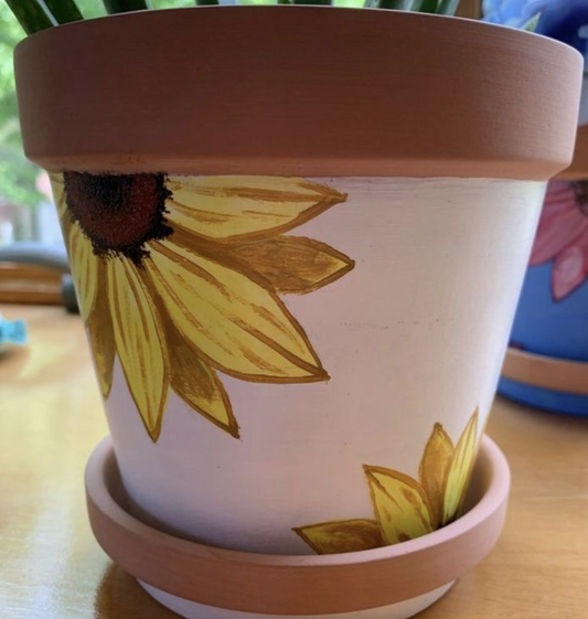 Paint, Pot, Petals - The Paddock Lal Lal