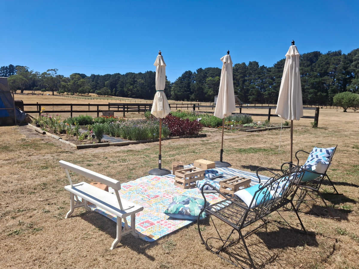 Outdoor setting with garden, table, chairs, and umbrellas on a sunny day.
