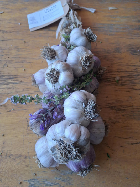 Garlic Braids (PRE-ORDER) - The Paddock Lal Lal