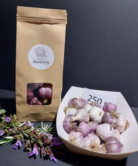 Garlic smalls - Available January 2025