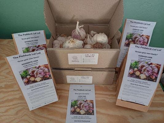 Grow your own garlic - Available February 2025