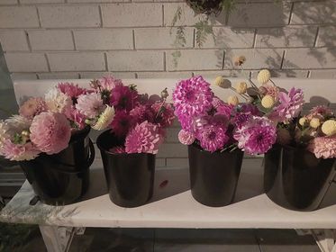 DIY Dahlia Buckets for Weddings and Events Pre-order for 16 February - 1 April 2025