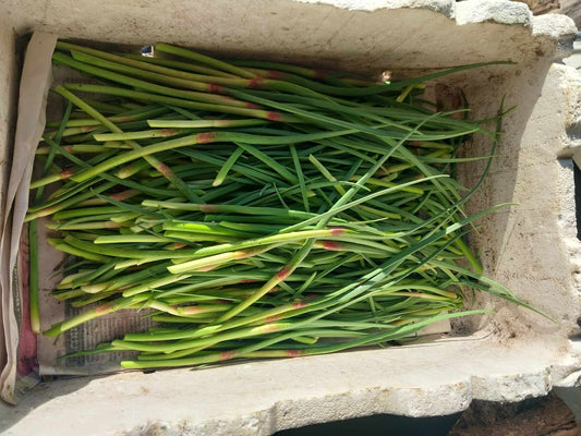 Garlic Scapes