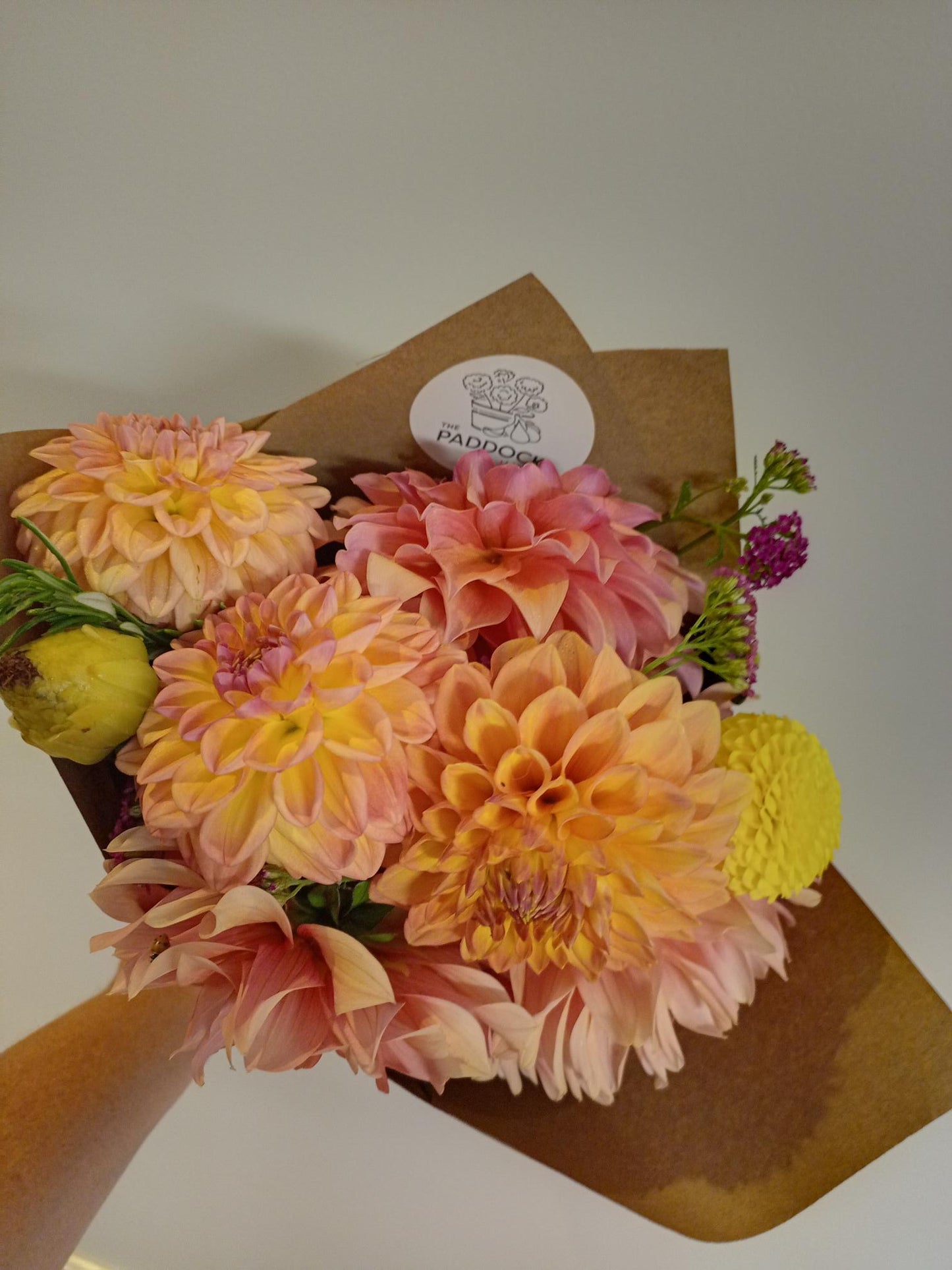 Dahlia Subscription